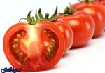 صادرات گوجه فرنگی ممنوع شد